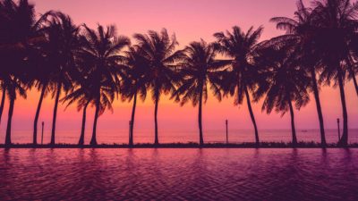 Desktop, Hd, Palm Trees, Red, Sunset, Water
