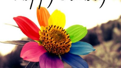 Colorful, Flower, Happy, Hd, Multi-colour, Natural, Sunday