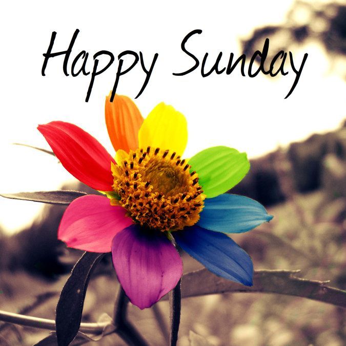 Happy Sunday Wallpapers