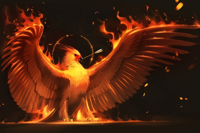 Phoenix Bird Picture