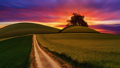 Colourful Sky, Fields, Green, Hd, Nature, Path