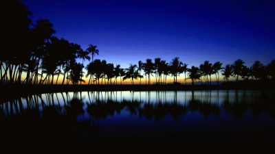 1080p, 4k, Blue, Nature, Sunrise, Trees
