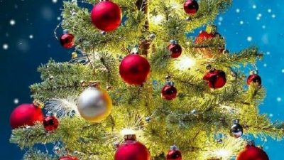 Beautiful, Christmas, Decoration, Image, Star, Tree, White