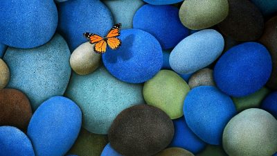 Background, Blue Stones, Butterfly, Colourful, Hd