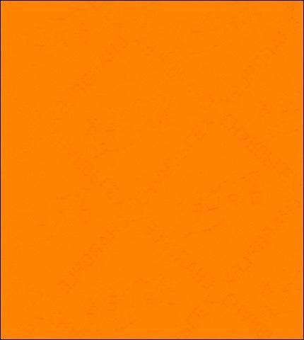 Solid Orange picture