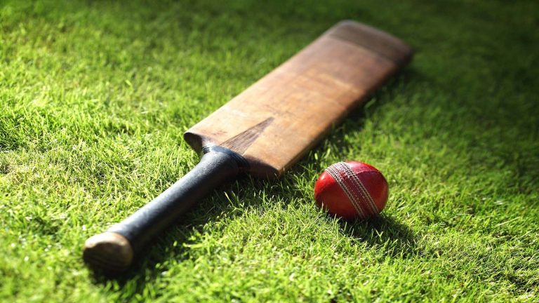 Cricket Image