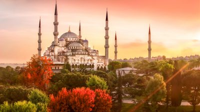 Amazing, Green, Mosque, Picture, Tree, Turkey