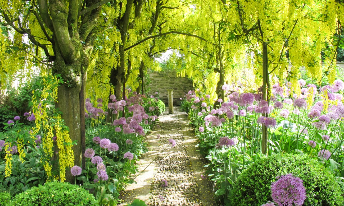 Beautiful Garden Background