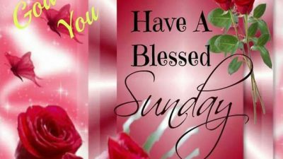 A Blessed, Happy, Have, Image, Stunning, Sunday