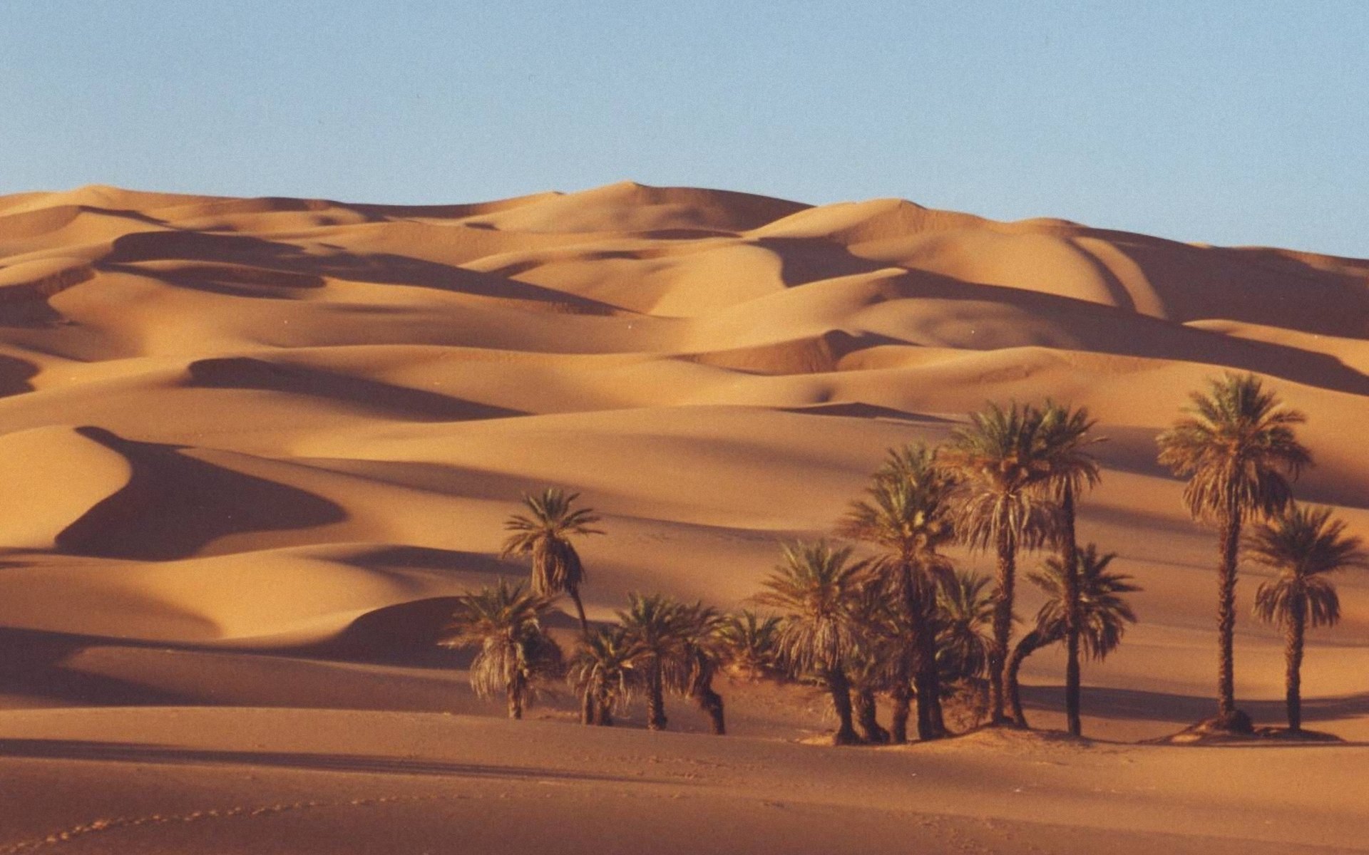 HD Sahara Image