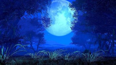 Background, Blue, Moon, Night, Stunning