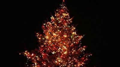 Awesome, Christmas, Colorful, Lights, Picture, Tree