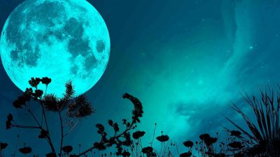 Blue, Full, Moon, Nature, Picture, Top