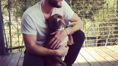 Dog, Face, Hemsworth, Image, Laim, Side, With