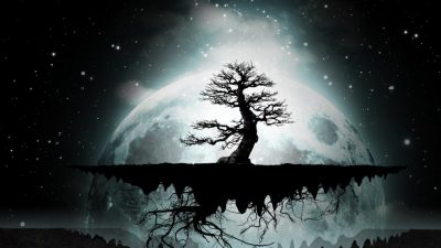 Awesome, Background, Natural, Night, Shadow, Tree