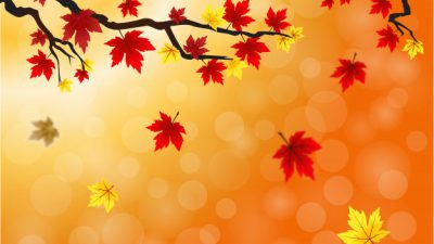 Autumn, Blurred, Leaves, Wallpaper