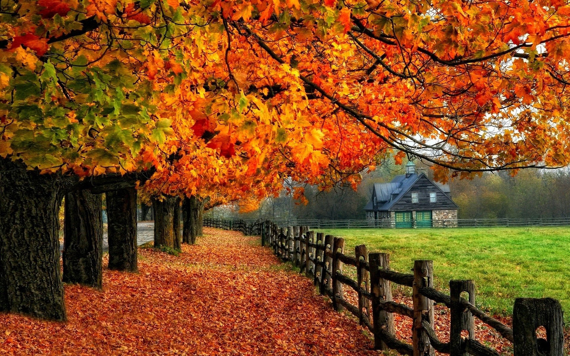 Autumn Backgrounds