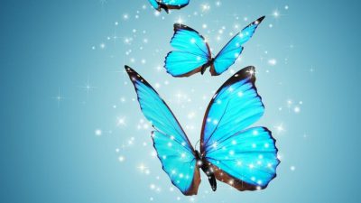 Background, Blue, Butterfly, Desktop, Hd