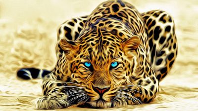 Amazing, Blue, Cheetah, Eye, Natural, Wallpaper