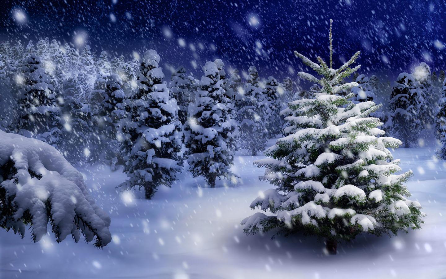 Snowfall Backgrounds