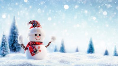 Beautiful, Best, Snowman, Wallpaper, Winter