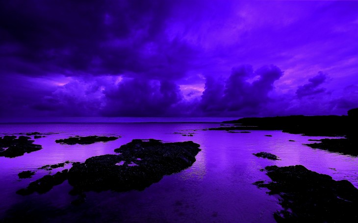 Purple Desktop Image