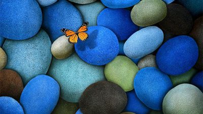 Beautiful, Butterfly, Colorful, Stones, Wallpaper
