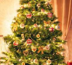 Animated, Beautiful, Christmas, Hd, Photo, Tree