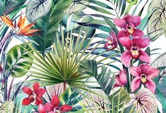 Flower, Hd, Stunning, Tropical, Wallpaper
