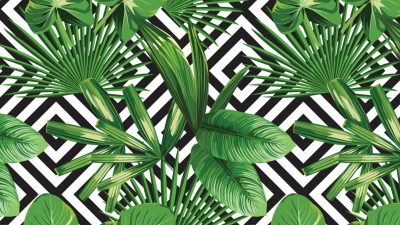 Green, Palm, Tree, Tropical, Wallpaper