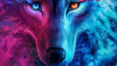 3d, Background, Colorful, Stunning, Wolf