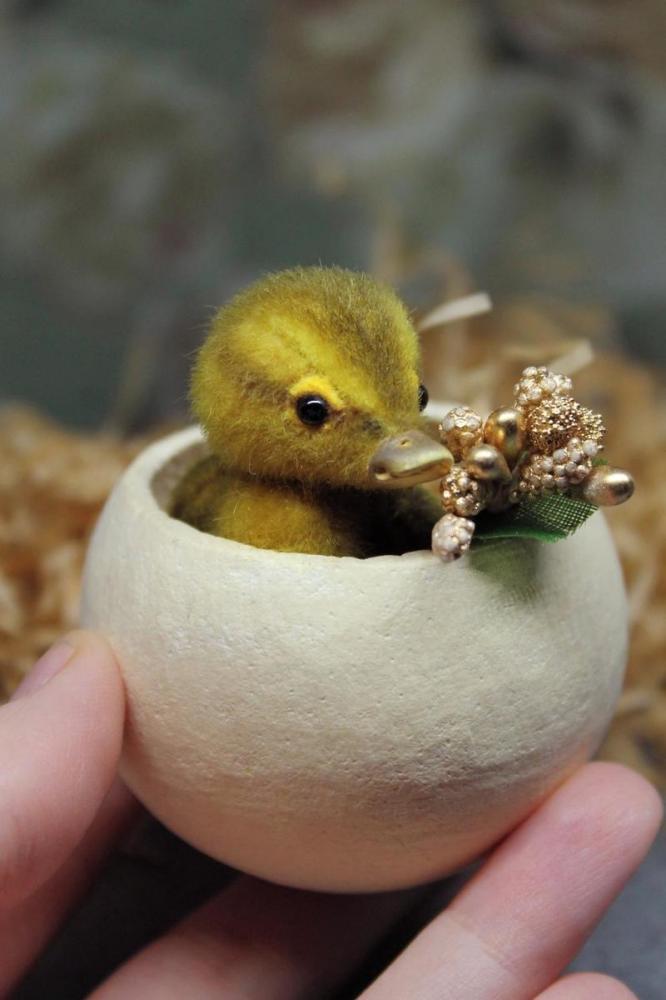 Baby Duck Picture