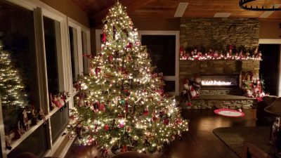 Christmas, Decorated, Floral, Hd, Image, Tree