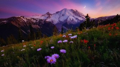 Clouds, Colorful, Image, Meadow, Mountain