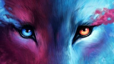 Animal, Awesome, Best, Colorful, Wallpaper