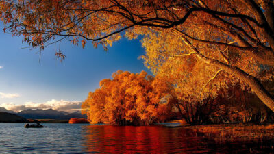 Autumn, Image, In, Lake, Natural, Widescreen