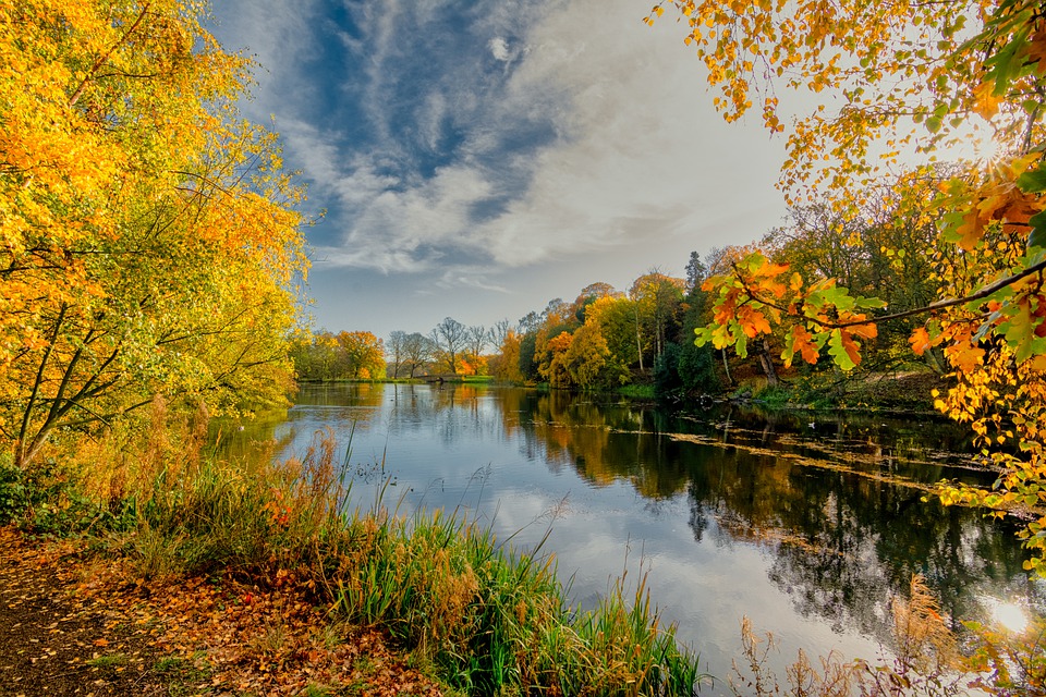 Lake in Autumn Image