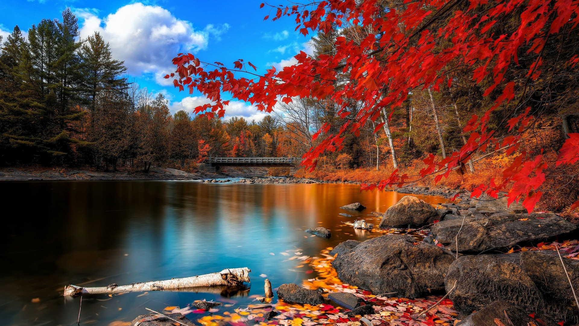 Lake in Autumn Photo