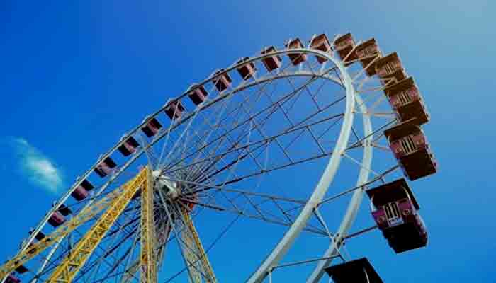 Ferris Wheel Image
