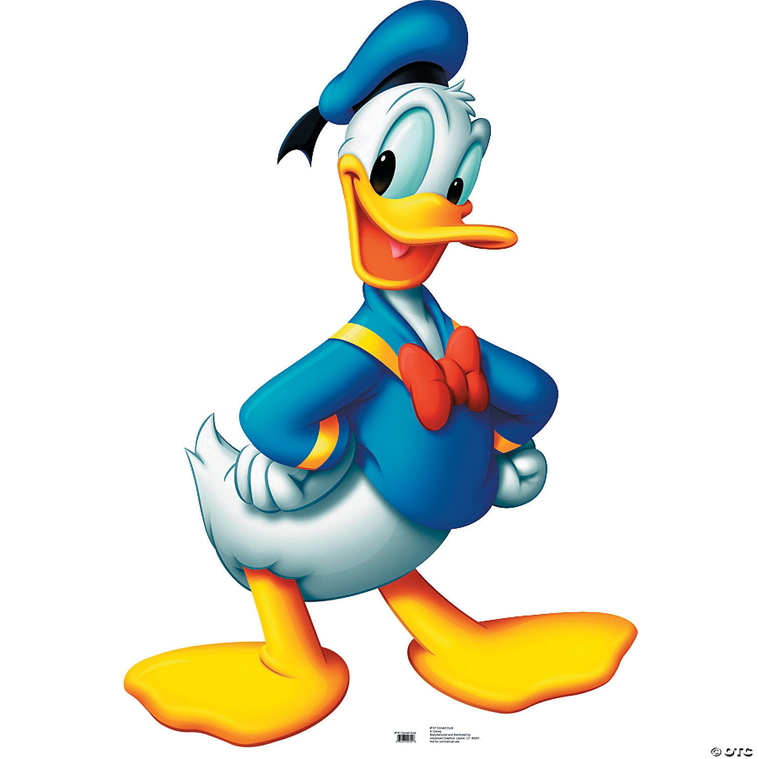Donald Duck Picture