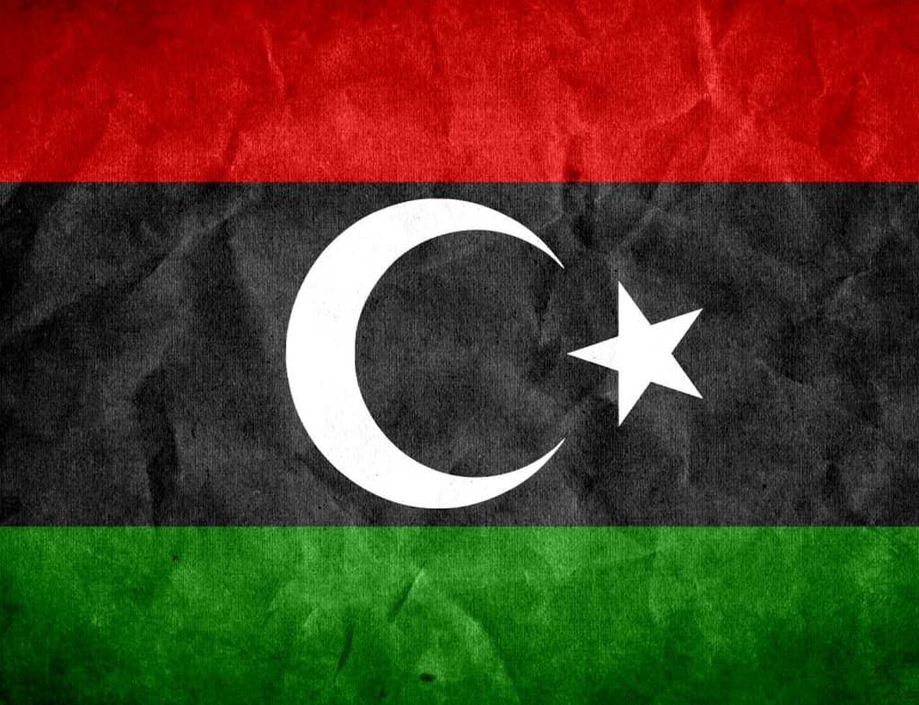 PPP Flag Image