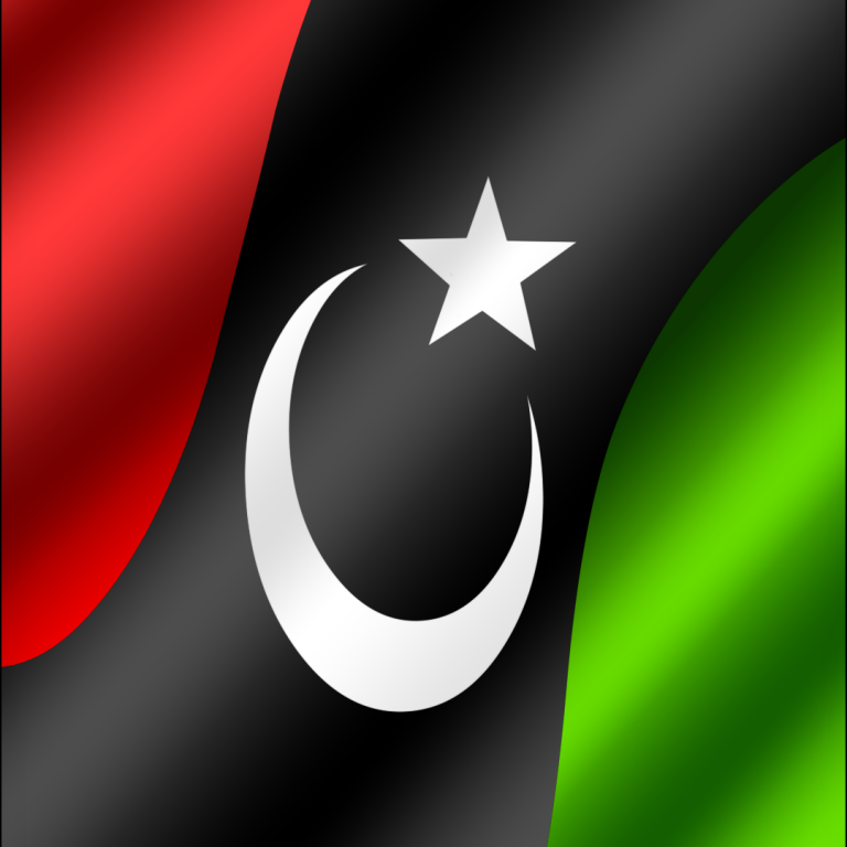 PPP Flag Photo